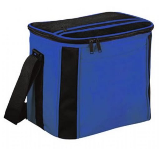 LARGE COOLER BAG